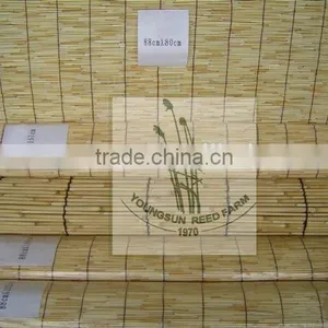 Reed Fence thumbnail-1