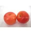 Super-elevation Simulation Apple thumbnail-1