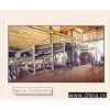 Apron Conveyors thumbnail-1