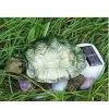 Solar Tortoise Lamp thumbnail-1