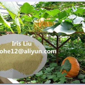 52% Amino Acid Fertilizer Powder/Amino Acid/Amino Acid Agriculture/Amino Acid Powder/Organic Fertilizer thumbnail-3