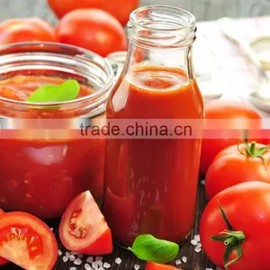Ketchup Tomato Sauce in Pouches thumbnail-1