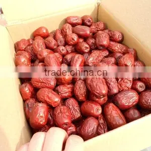Jujube, Chinese Red Date (Fructus Jujube, Da Zao) thumbnail-1