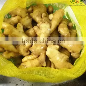 Wholesale Bulk Fresh Ginger High Quality Chinese Ginger Exporter thumbnail-6