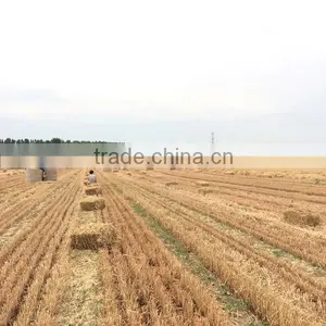 Factory Direct Runshine 9YFQ1.9 Square Alfalfa Baler for Sale thumbnail-6
