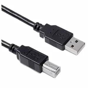 High Speed Data Cable USB a to C Cable 1ft 3ft 6ft 10ft USB2.0 3A Fast Charging Cable thumbnail-1
