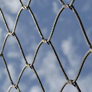 Hebei Longen Supply Wire Mesh for Parrots OEM Steel Rope Mesh Protecting Mesh Woven Protection Plain Weave Customizable CN;HEB thumbnail-2