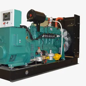 Gas Generator Set thumbnail-1