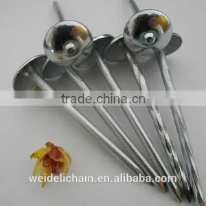 Twisted Shank Umbrella Roofing Nails thumbnail-6