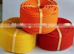 PE Color Rope thumbnail-2