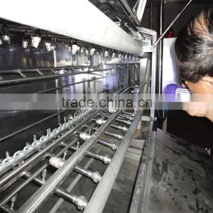 Dragon Fruit Sorting Machine thumbnail-3