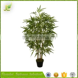 Combined Wholesale Factory Direct Low Price Bamboo Bonsai Tree thumbnail-1