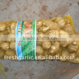 Fresh Taro thumbnail-1
