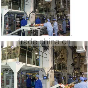 Bean Milk Powder Packing Machine thumbnail-1