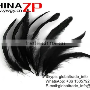 Leading Supplier CHINAZP Factory High Quality Black Chicken Dyed Rooster Schlappen Feathers thumbnail-4
