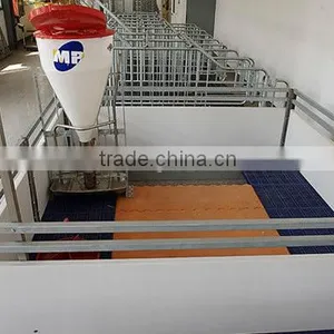 Complete Controlled Poultry Equipment for Pig Raising thumbnail-1