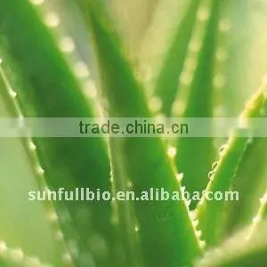 Health Products/Aloe Vera P.E thumbnail-1