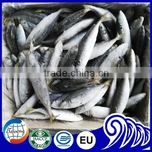Top Quality Iqf Round Scad Fish Products For Marketing thumbnail-3
