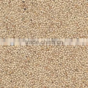 Natural Sesame Seeds, White Sesame Seeds, New Crop Whitish Sesame Seeds thumbnail-1