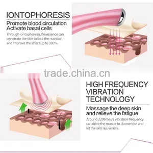 Handheld Beauty Facial Vibrating Ionic Massager thumbnail-6