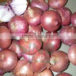 Fresh Red Onion thumbnail-1