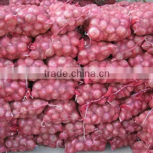 Fresh Red Onion thumbnail-1