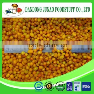 IQF Juicy Fruit Frozen Sea Buckthorn Berries thumbnail-1