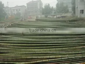 Cheap Raw Bamboo Poles thumbnail-3