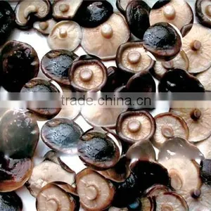 Brined Shiitake, Shiitake in Salt Water thumbnail-1