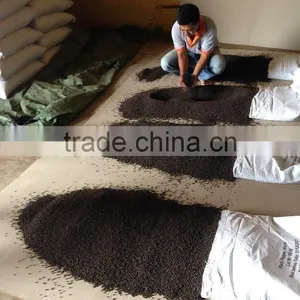 HIGH QUALITY OF BLACK PEPPER thumbnail-5