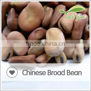 DRY BROAD BEAN thumbnail-2