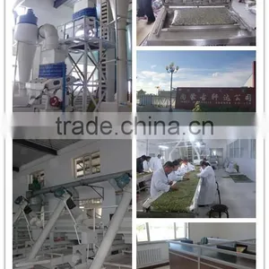 High Quality China Shine Skin Pumpkin Seed in Shell thumbnail-4