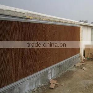 Advanced Design Automatic Farming Equipment for Broilers and Chickens thumbnail-3