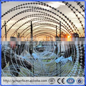 Stainless Steel Razor Barbed Wire/Galvanized Razor Barbed Wire/Barbed Wire(Guangzhou Factory) thumbnail-4