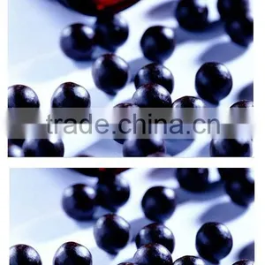 Factory Supply ZWJ-76 Chinese Herbal Pill Making Machine thumbnail-3