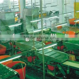 Food Machinery Manufacturer Green Pea Frozen Production Line thumbnail-3