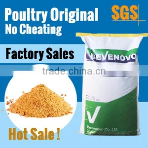 Sell Chicken Feather Meal 80 Protein Feed Grade Protein thumbnail-1