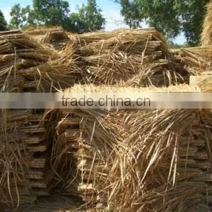Grass Roof thumbnail-1