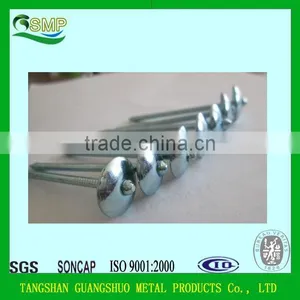 Made in China Metal Ring Shank Roofing Nail for Asphalt Roofing Felts thumbnail-1