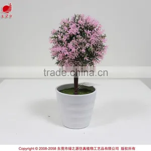 Christmas Decoration New Design Artificial Succulent Plants for 2015 thumbnail-1