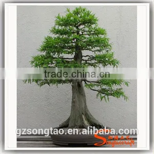 Grotesque or Fantastic in Shape or Appearance , Artificial Pot Manufacturing Plants for Wholesale thumbnail-2