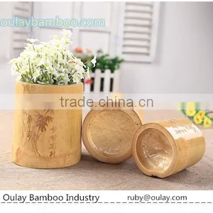 Tonkin Bamboo Poles Material Vases for Planting thumbnail-2