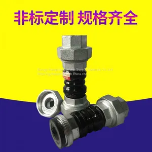 Thread Rubber Expansion Joint for Plumbing System thumbnail-1