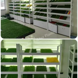 Qingdao Udine Rubber Plastic Co.,Ltd company overview - view 3 thumbnail