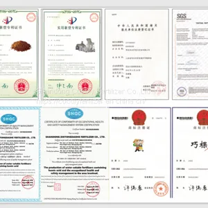 Cocoly Granular Water Soluble Fertilizer+TE thumbnail-4