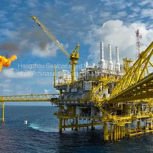 Oil and Gas Seal thumbnail-1
