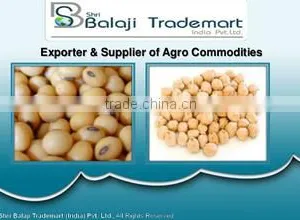Shri Balaji Trademart (india) Private Limited company overview - view 1 thumbnail
