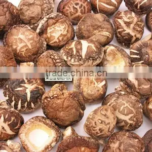 Dried Thin Mushroom thumbnail-1