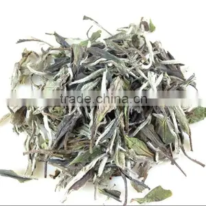 King Bai Mu Dan,White Peony thumbnail-1