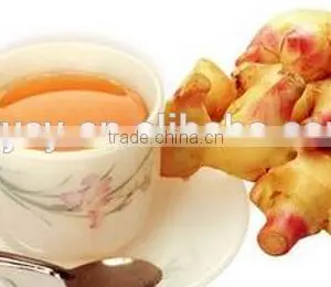 Hot Selling High Quality Organic Natural 100% Pure Ginger Oil / Ginger Essential Oil With Reasonable Price thumbnail-1